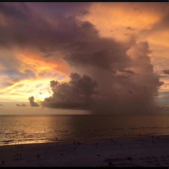 Meet your Posher, Kelly - Picture 1 of 1